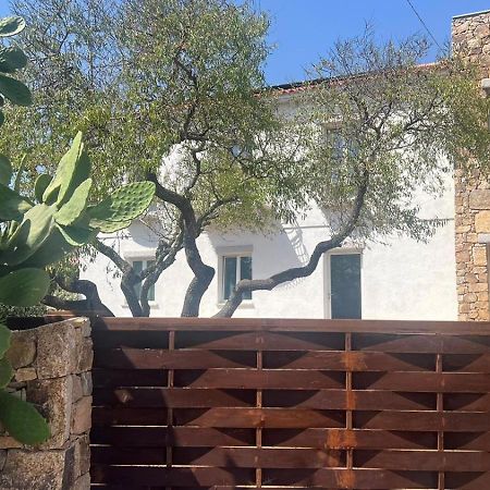Il Mandorlo Bed & Breakfast Santa Teresa Gallura Dış mekan fotoğraf