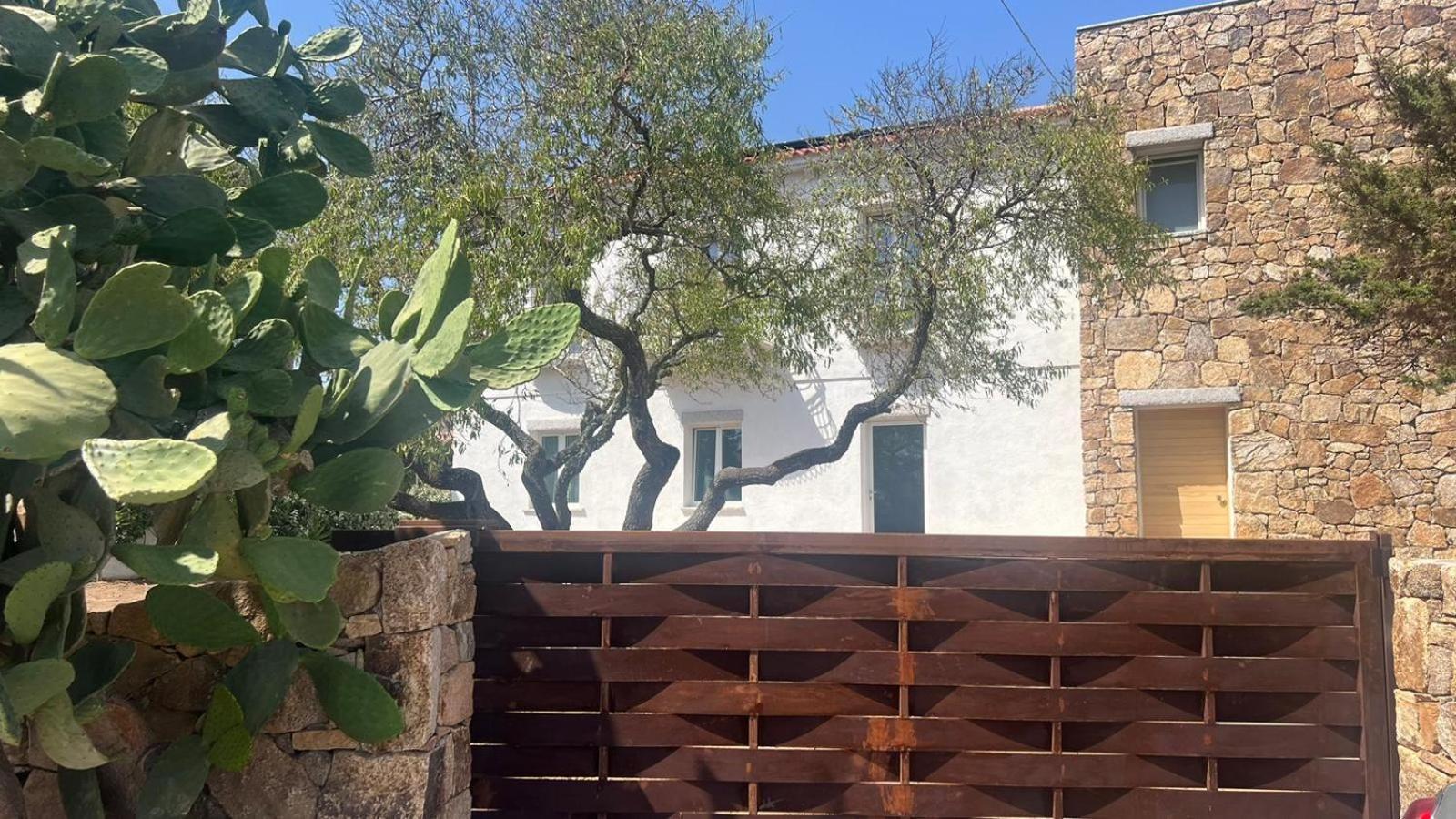Il Mandorlo Bed & Breakfast Santa Teresa Gallura Dış mekan fotoğraf