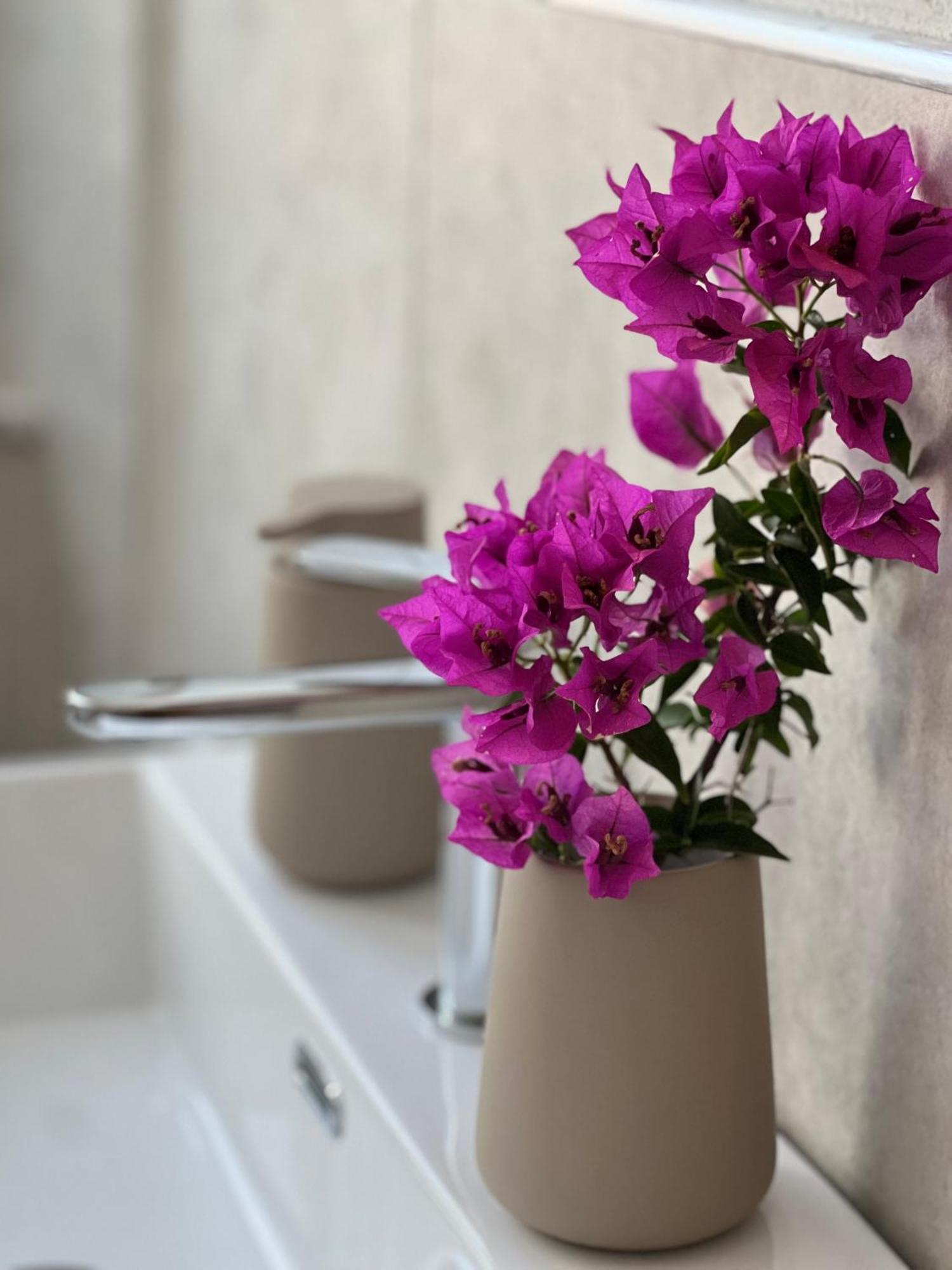 Il Mandorlo Bed & Breakfast Santa Teresa Gallura Dış mekan fotoğraf