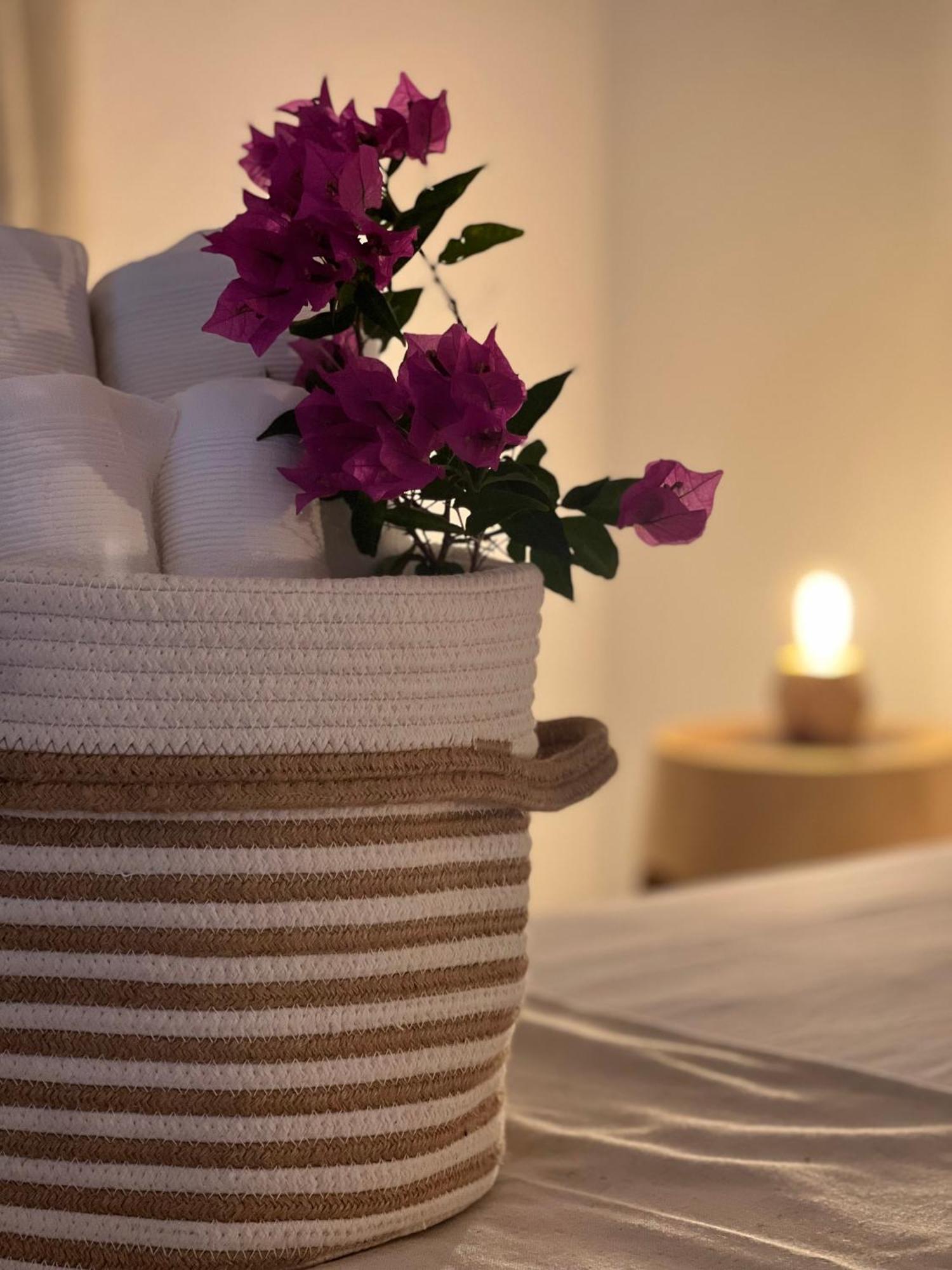 Il Mandorlo Bed & Breakfast Santa Teresa Gallura Dış mekan fotoğraf